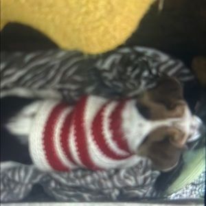 Meet your Posher, Jamie